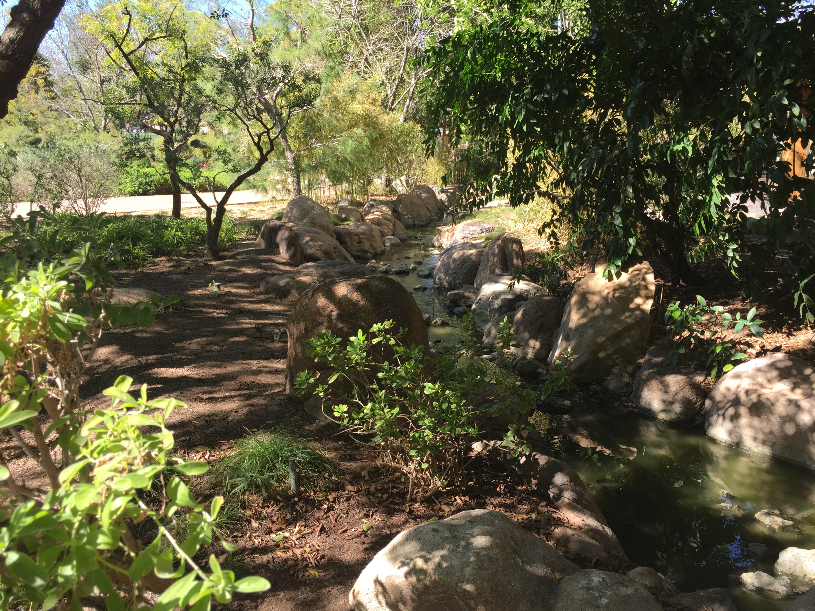 Stream at Japanese Friendship Garden in Phoenix, AZ