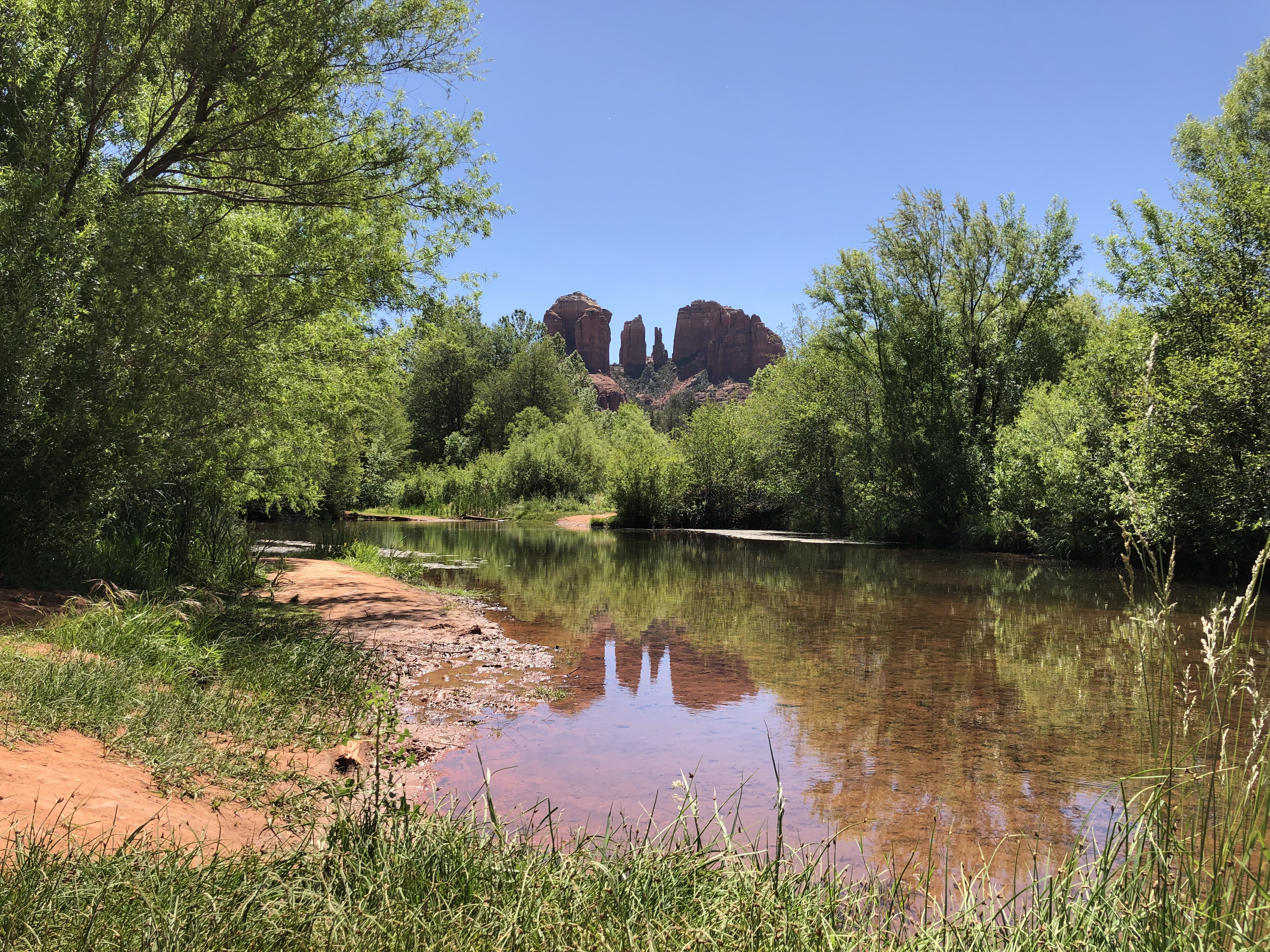 Cathedral Rock reflected in Oak Creek