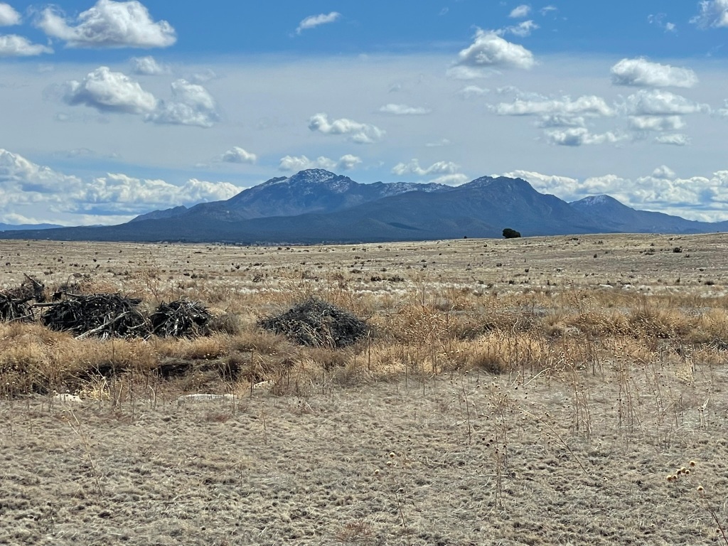 Cattle ranch near Prescott, AZ